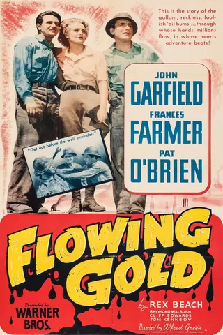 Görsel: TMDB Flowing Gold afişi