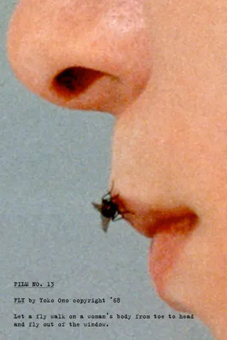 Fly afişi