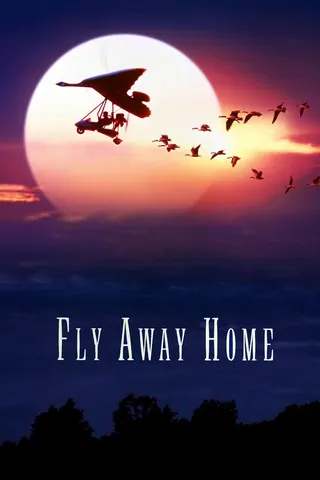 Fly Away Home afişi