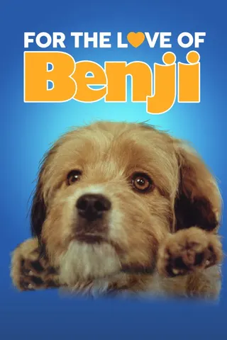 Görsel: TMDB For the Love of Benji afişi