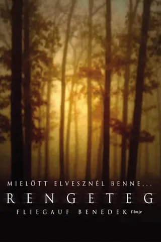 Görsel: TMDB Forest afişi