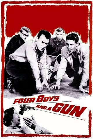 Four Boys and a Gun afişi