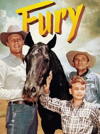 Fury afişi