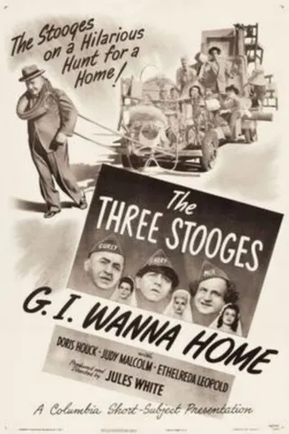 Görsel: TMDB G.I. Wanna Home afişi