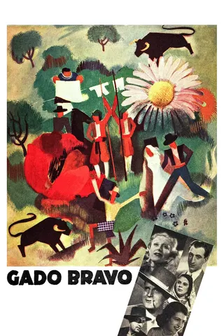 Gado Bravo afişi