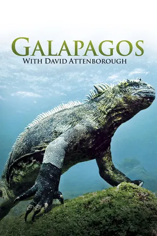 Galapagos 3D afişi