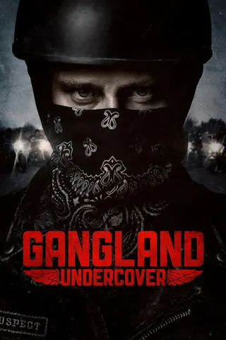 Gangland Undercover afişi
