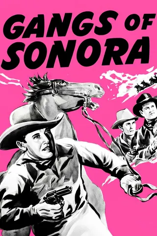 Gangs of Sonora afişi