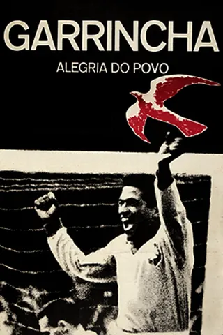 Garrincha: Hero of the Jungle afişi