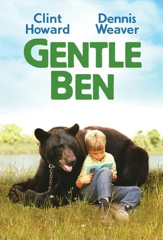 Görsel: TMDB Gentle Giant afişi