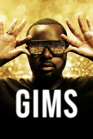 Görsel: TMDB GIMS: On the Record afişi