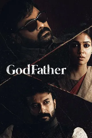 Görsel: TMDB Godfather afişi