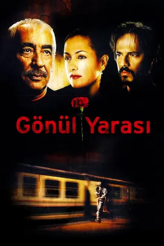 Görsel: TMDB Gönül Yarası afişi