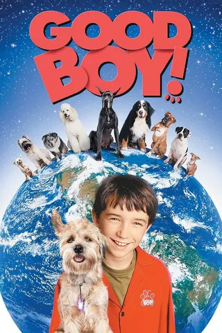 Good Boy! afişi
