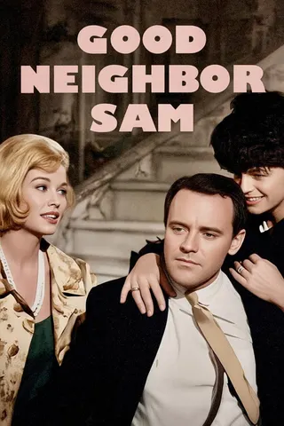 Görsel: TMDB Good Neighbor Sam afişi