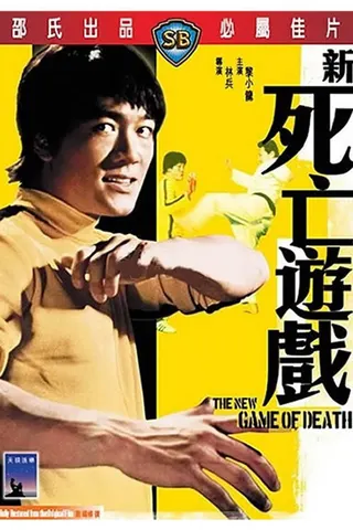 Görsel: TMDB Goodbye Bruce Lee: His Last Game of Death afişi