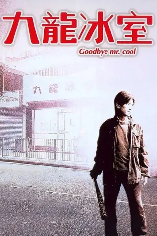 Goodbye Mr. Cool afişi