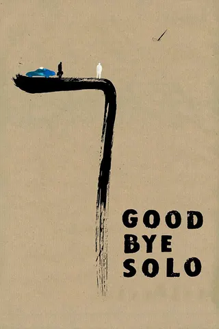 Görsel: TMDB Goodbye Solo afişi