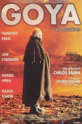 Görsel: TMDB Goya in Bordeaux afişi