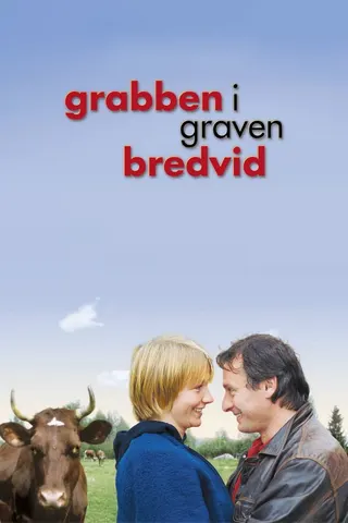 Görsel: TMDB Grabben i graven bredvid afişi