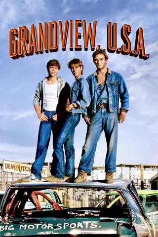 Görsel: TMDB Grandview, U.S.A. afişi
