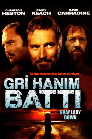 Görsel: TMDB Gray Lady Down afişi