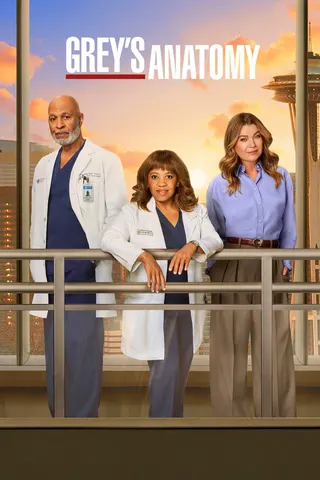 Görsel: TMDB Grey's Anatomy afişi