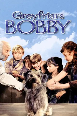Greyfriars Bobby afişi