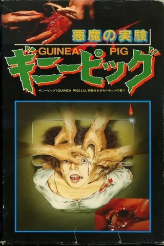 Guinea Pig: Devil's Experiment afişi