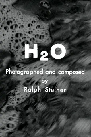 H2O afişi