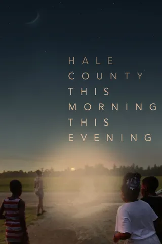 Görsel: TMDB Hale County This Morning, This Evening afişi