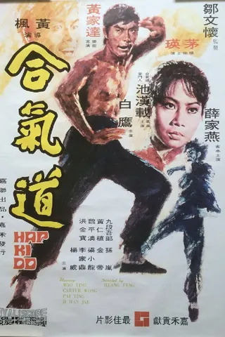 Görsel: TMDB Hapkido afişi