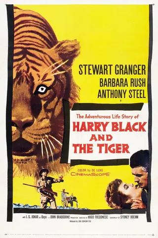 Görsel: TMDB Harry Black afişi