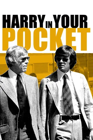 Harry in Your Pocket afişi