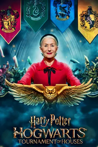 Görsel: TMDB Harry Potter: Hogwarts Tournament of Houses afişi