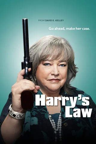 Görsel: TMDB Harry's Law afişi