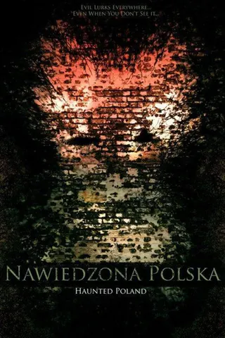 Görsel: TMDB Haunted Poland afişi
