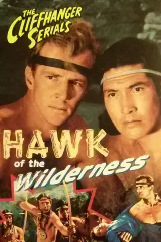 Görsel: TMDB Hawk of the Wilderness afişi