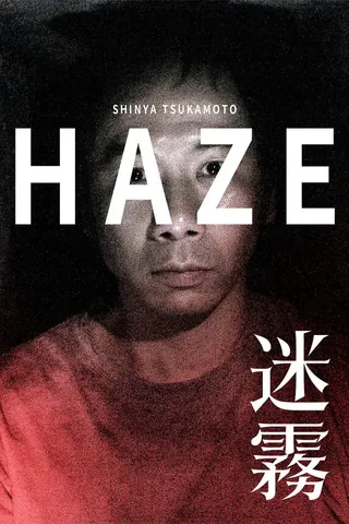 Haze afişi
