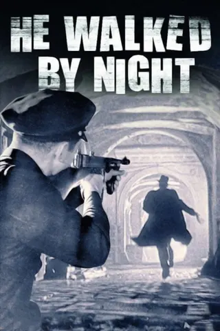 He Walked by Night afişi