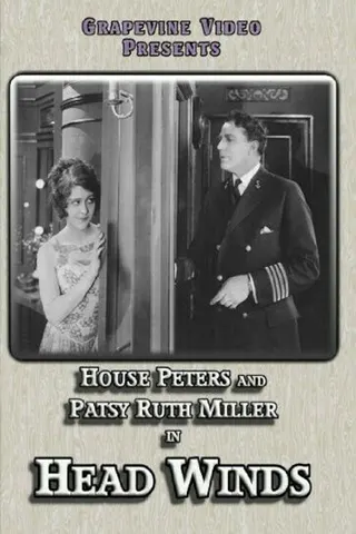 Head Winds afişi
