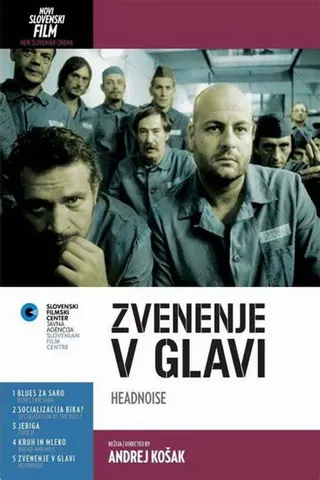 Görsel: TMDB Headnoise afişi