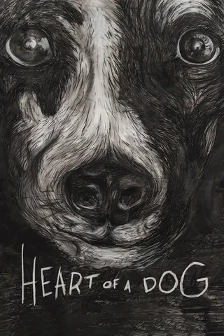 Görsel: TMDB Heart of a Dog afişi