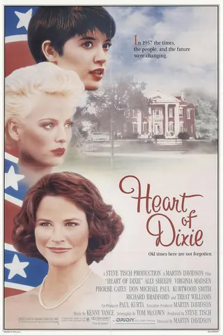 Görsel: TMDB Heart of Dixie afişi