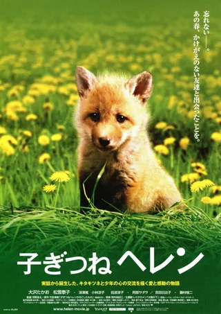 Helen the Baby Fox afişi