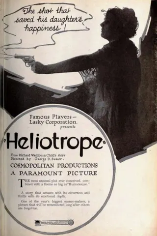 Heliotrope afişi
