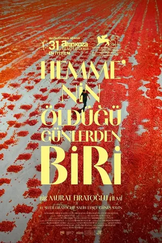 Hemme'nin Öldüğü Günlerden Biri afişi