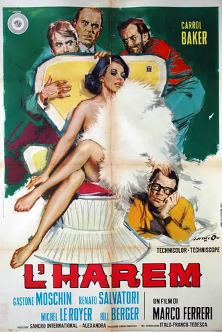 Görsel: TMDB Her Harem afişi