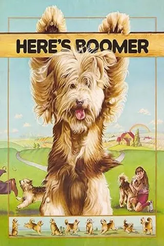 Görsel: TMDB Here's Boomer afişi