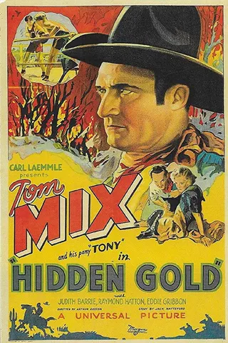 Hidden Gold afişi